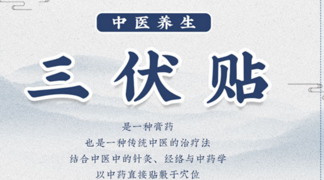 三伏贴时间2022年