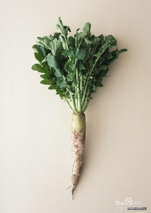 萝卜的营养价值分析