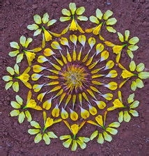 婚检会查出前列腺炎吗？