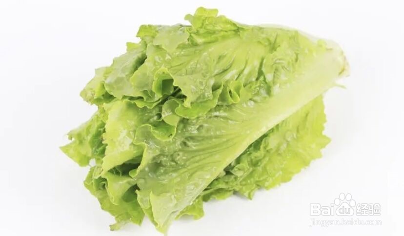 夏天种什么青菜