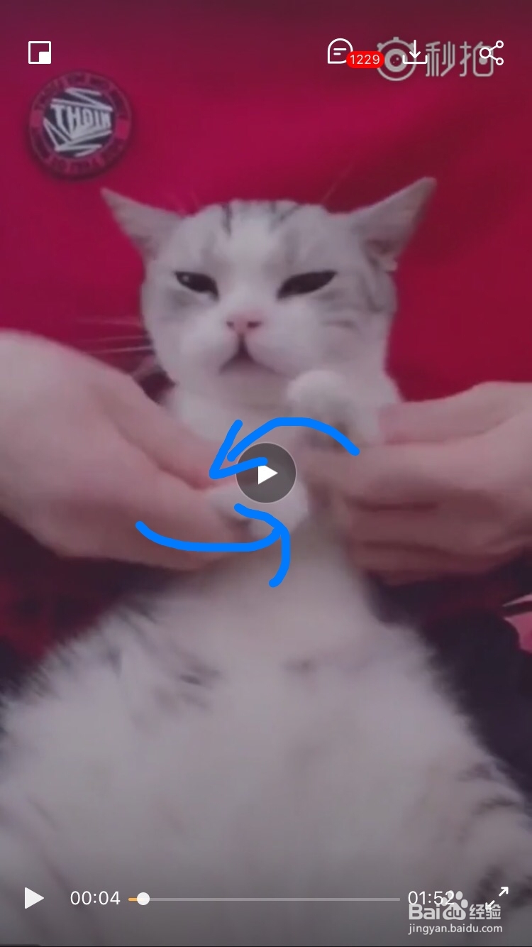 海草舞舞蹈教程分解动作