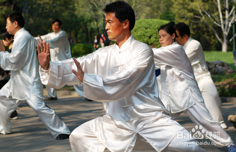向天果有什么副作用？向天果的功效作用有哪些