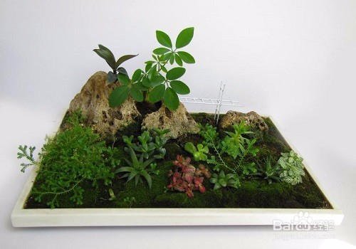 鼻炎对生活的影响