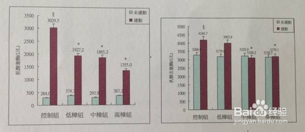 测定血液中的乳酸含量的具体步骤