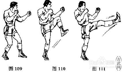 散打基本功之腿法教学1