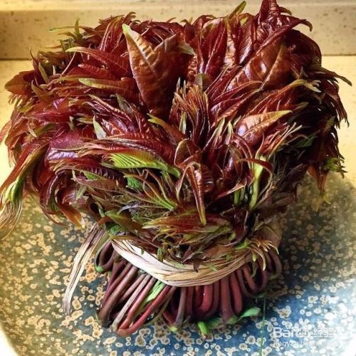 春节吃哪些蔬菜解油腻