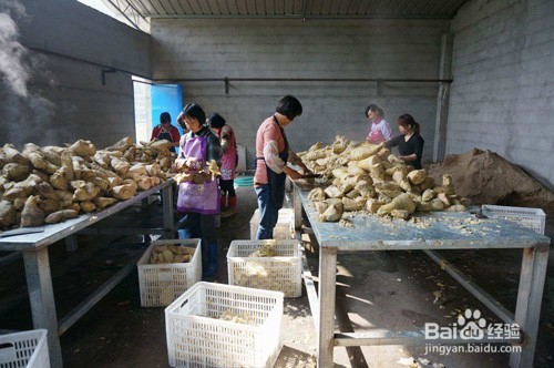 这7个点子适合农民回家创业