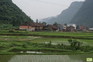 度假旅游好去处=====农村