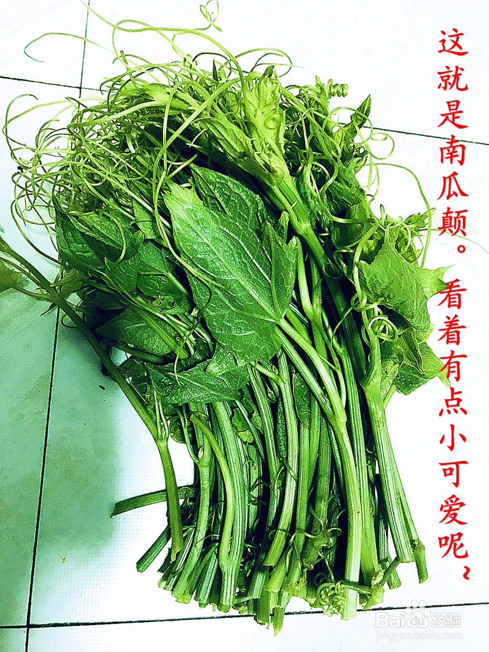 南瓜藤(南瓜颠)不要丢,这样做超好吃。