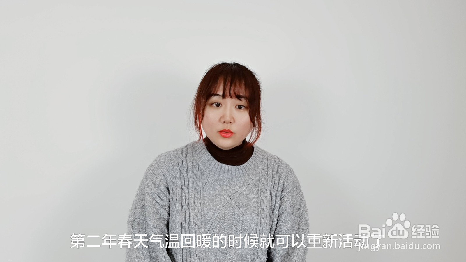 冬天小青蛙是怎么过冬的呢