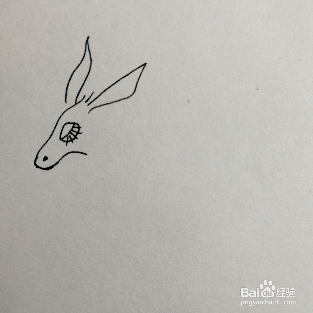 小毛驴儿童简笔画怎么画？