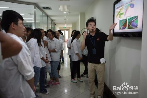 参加培训有哪些注意事项