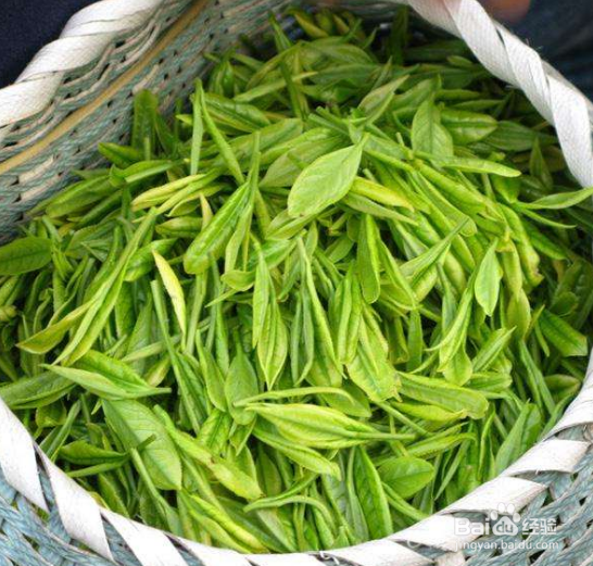 用什么水泡茶最合适