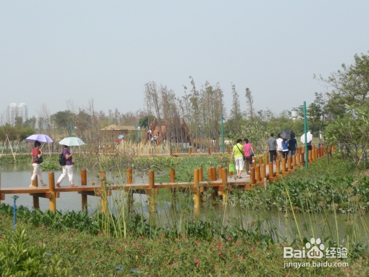 海珠湿地公园十一旅游攻略