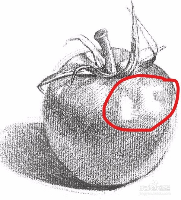 素描五大调子(定义)