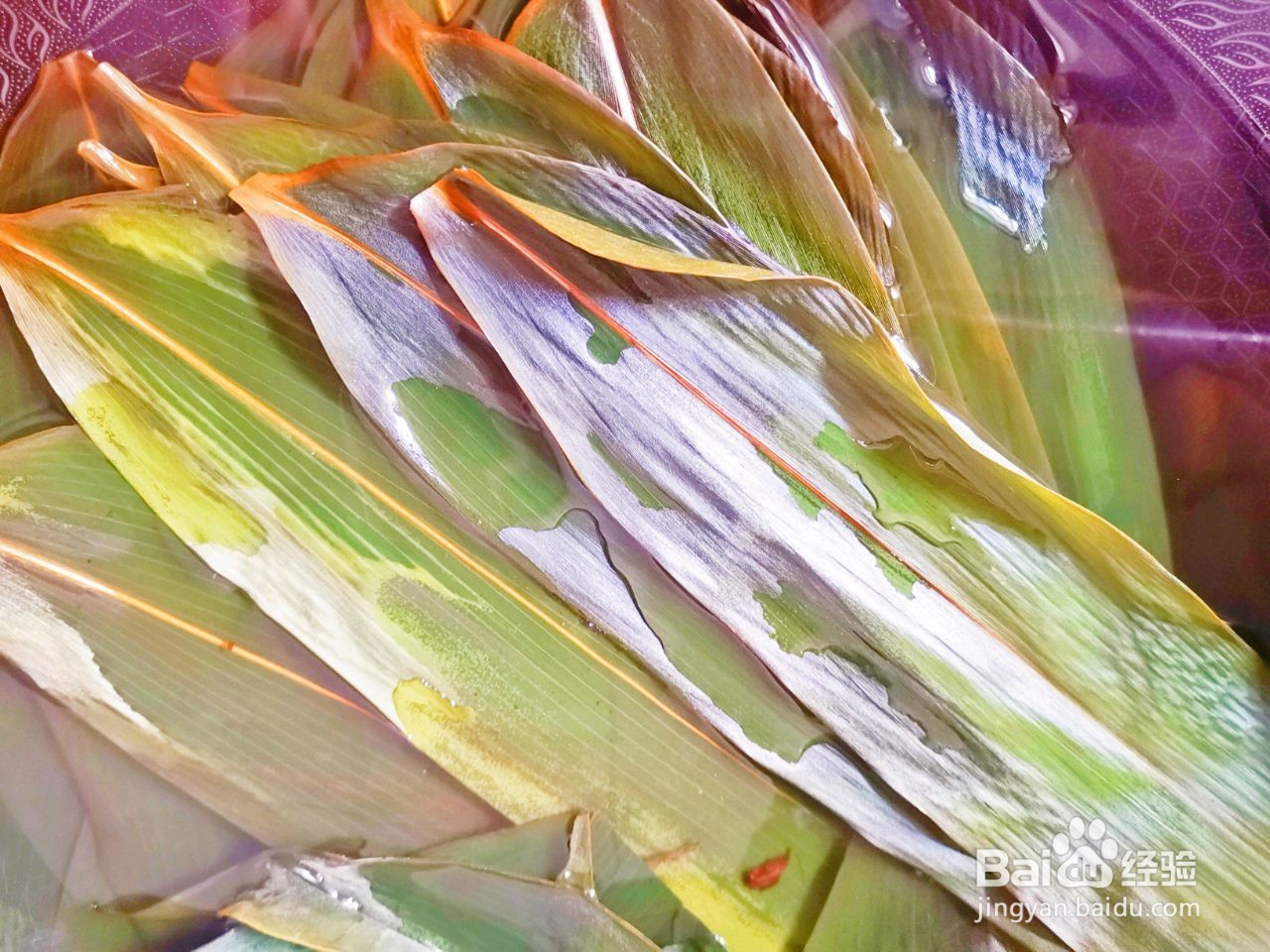 水晶西米粽怎么做