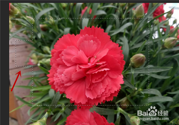 Photoshop选区工具怎么用？PS怎么使用选区工具