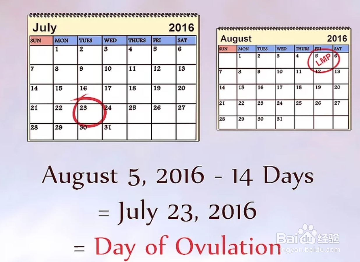 如何计算预产期