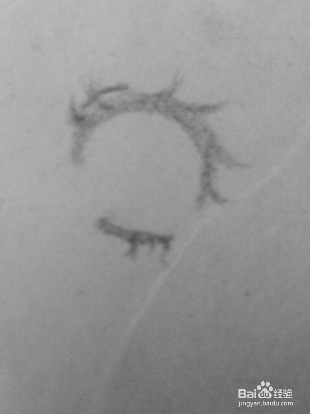 原创动漫人物的眼睛