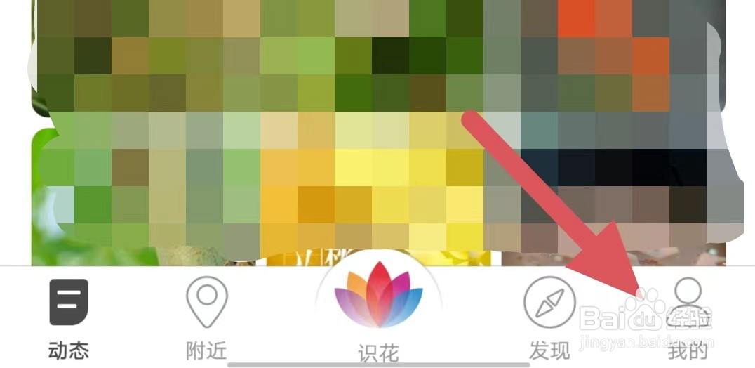 花伴侣如何注销账号？