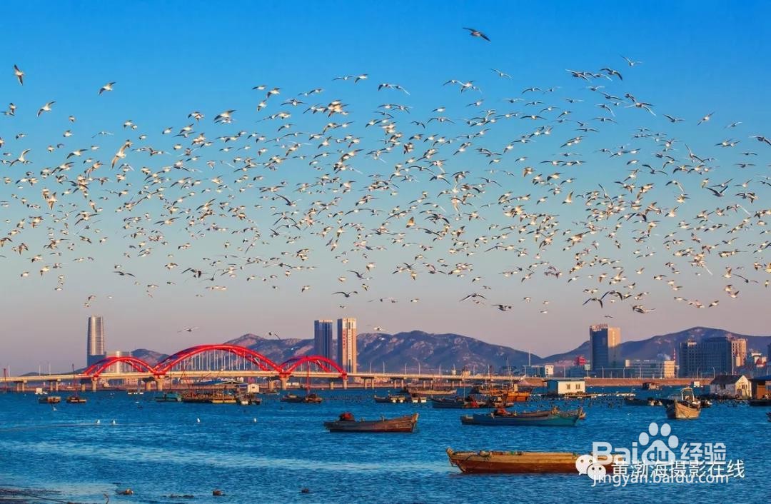 养马岛旅游攻略--自驾游--民宿-景点--门票