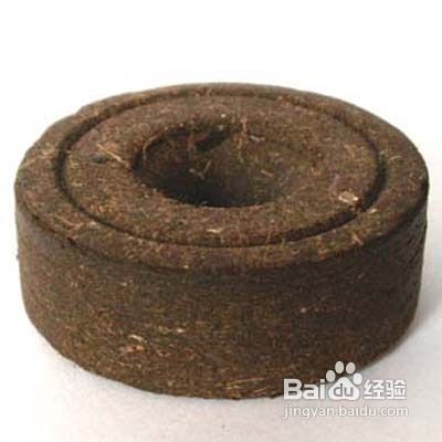 花卉培养土消毒的方法