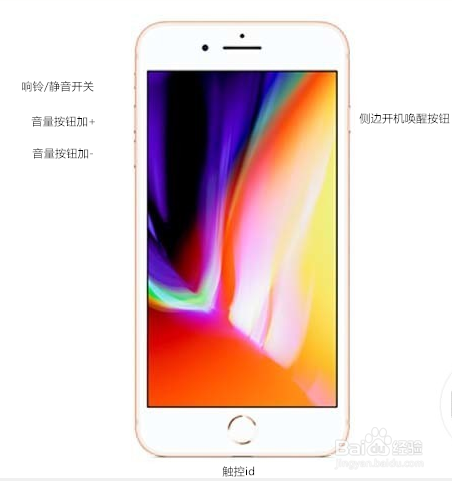 如何快速的使用苹果iPhone手机快捷键截图