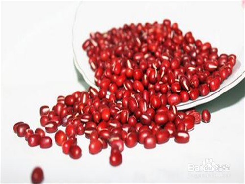 日常祛湿的食物有哪些？