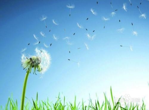 如何充分利用暑假