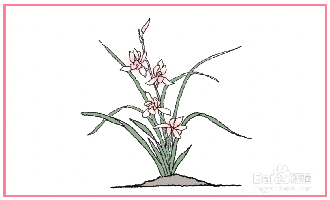 香妃兰花怎么简笔画