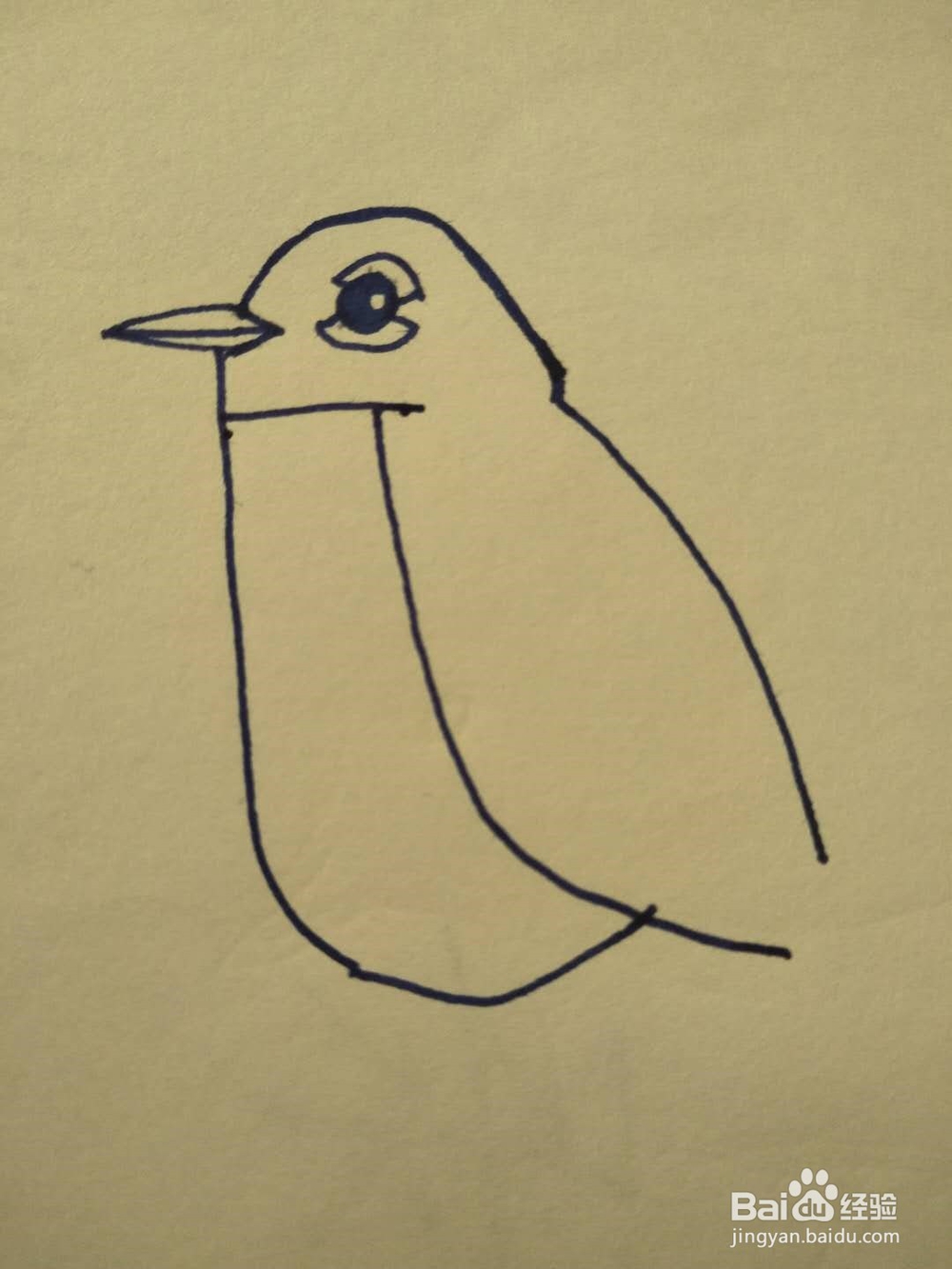 小鸟的简笔画怎么画？