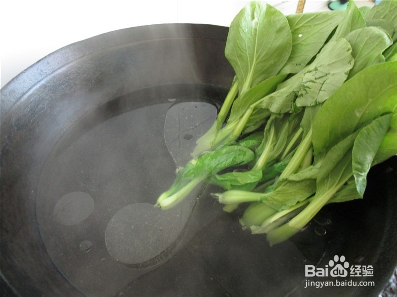 白灼油菜沙拉汁凉拌面