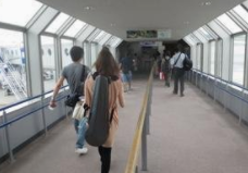 早上暴走减肥效果好吗