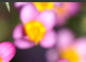 健康生活小知识15