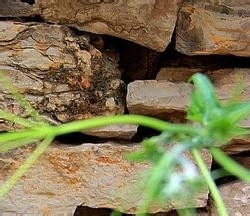 适用的生活健康小常识9