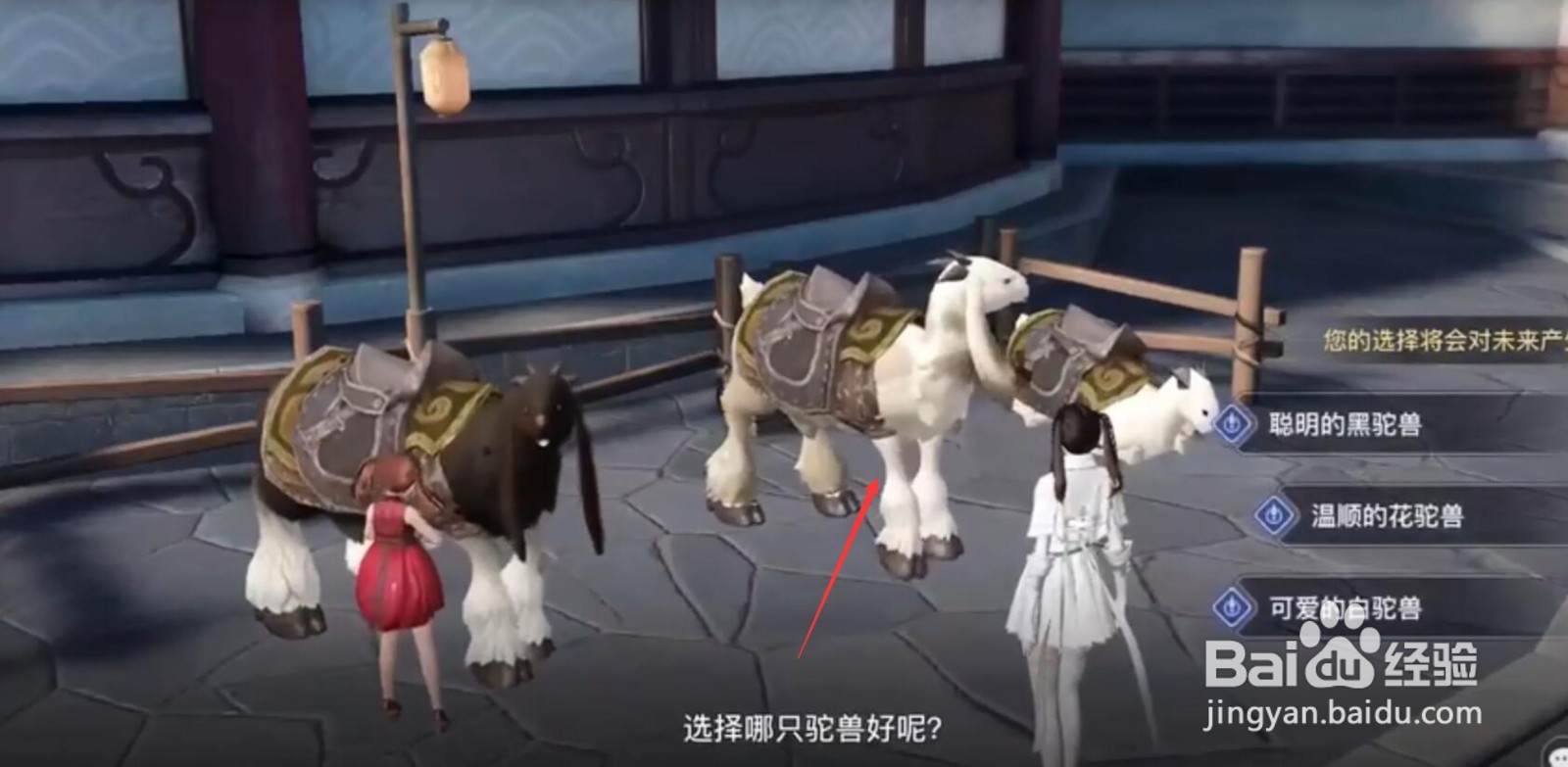 天渝手游攻略