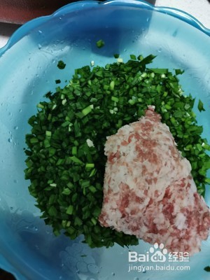 养生食补韭菜猪肉馅饺子