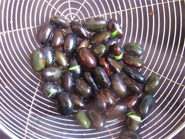 小螃蟹趣味便当