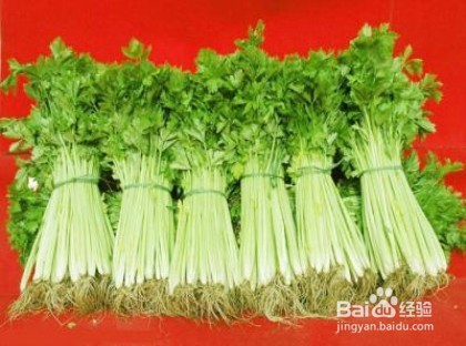 让牙齿洁白健康的食物