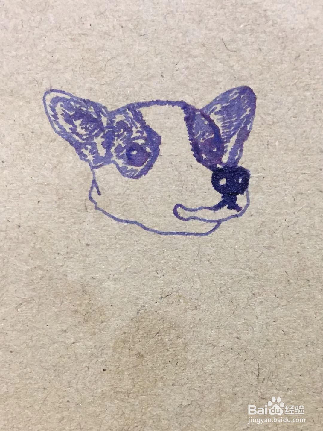 插画教程之圣诞节树下的柯基犬