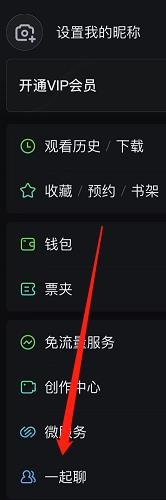 爱奇艺如何查看一起聊