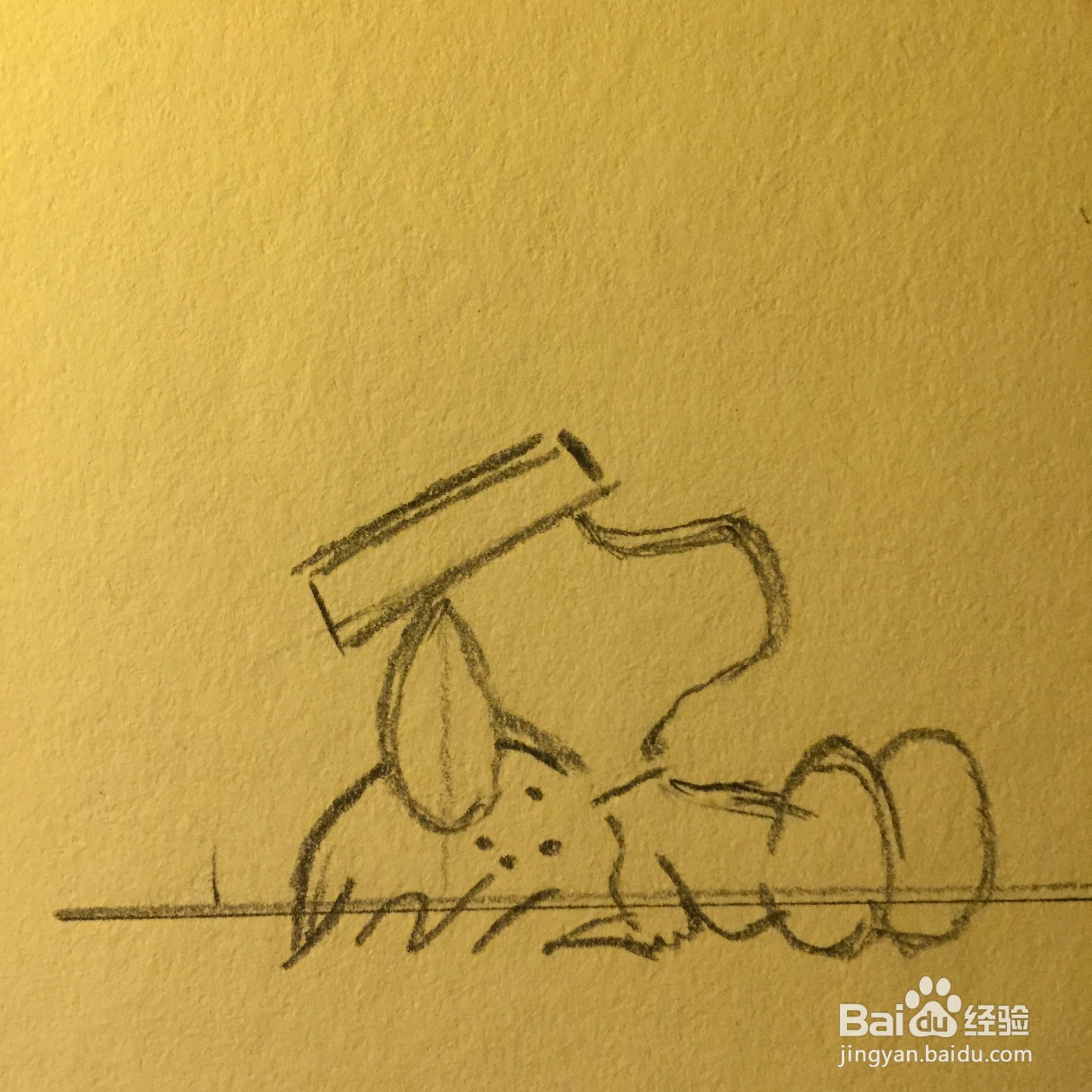 零基础学会史努比教程