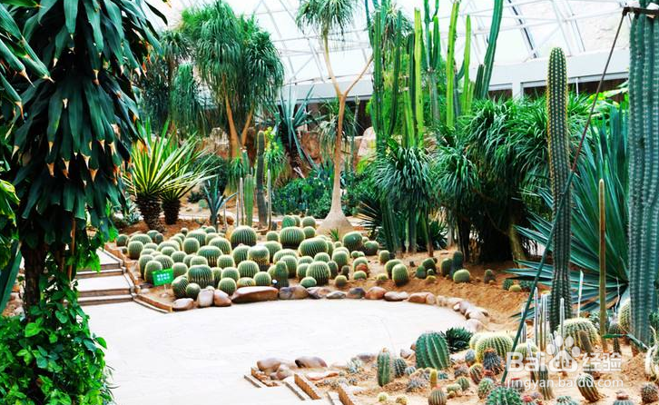 大连森林动物园攻略