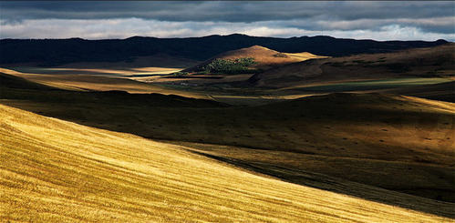 怎样根据不同的拍摄题材来设置相机
