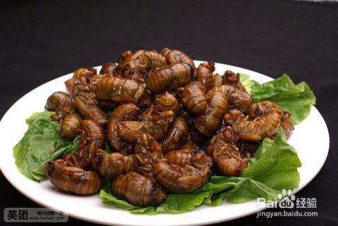 煸炒金蝉的做法步骤