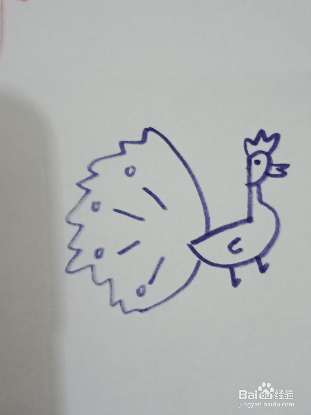 孔雀开屏简笔画