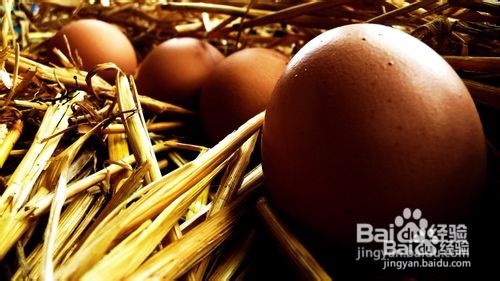 怎样挑选新鲜鸡蛋