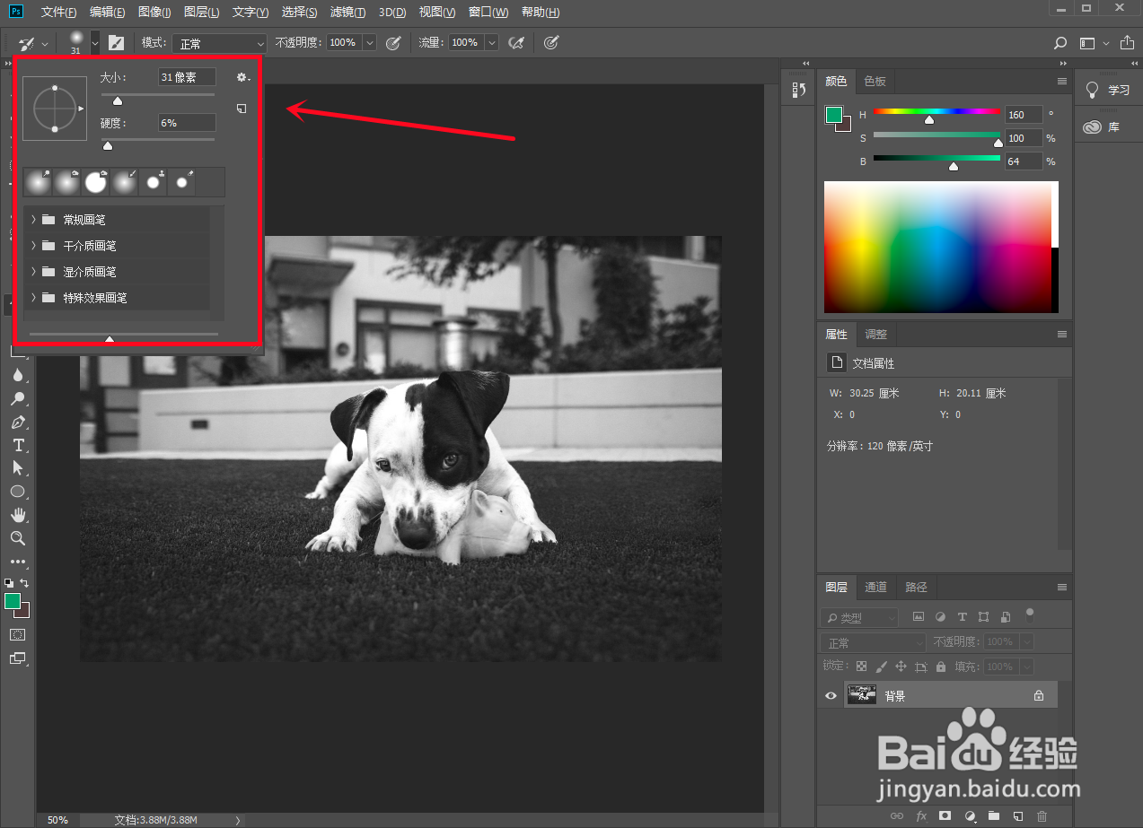 ps怎么给局部涂色