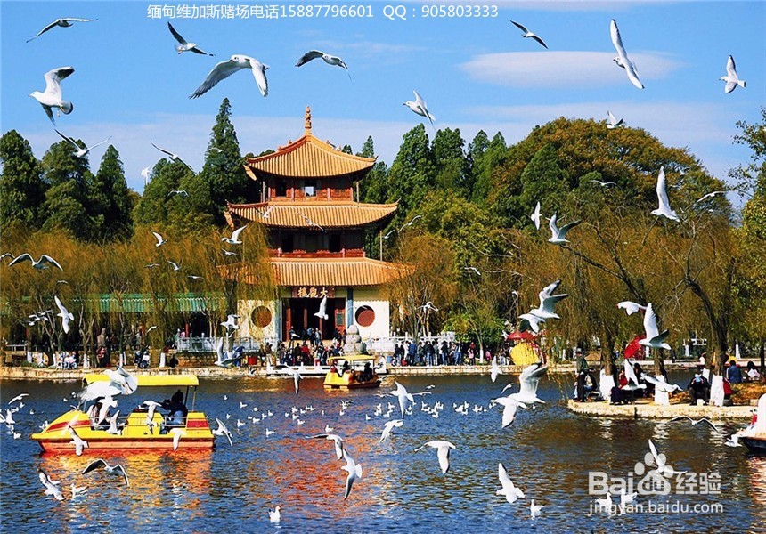 缅甸维加斯之小勐拉旅游篇