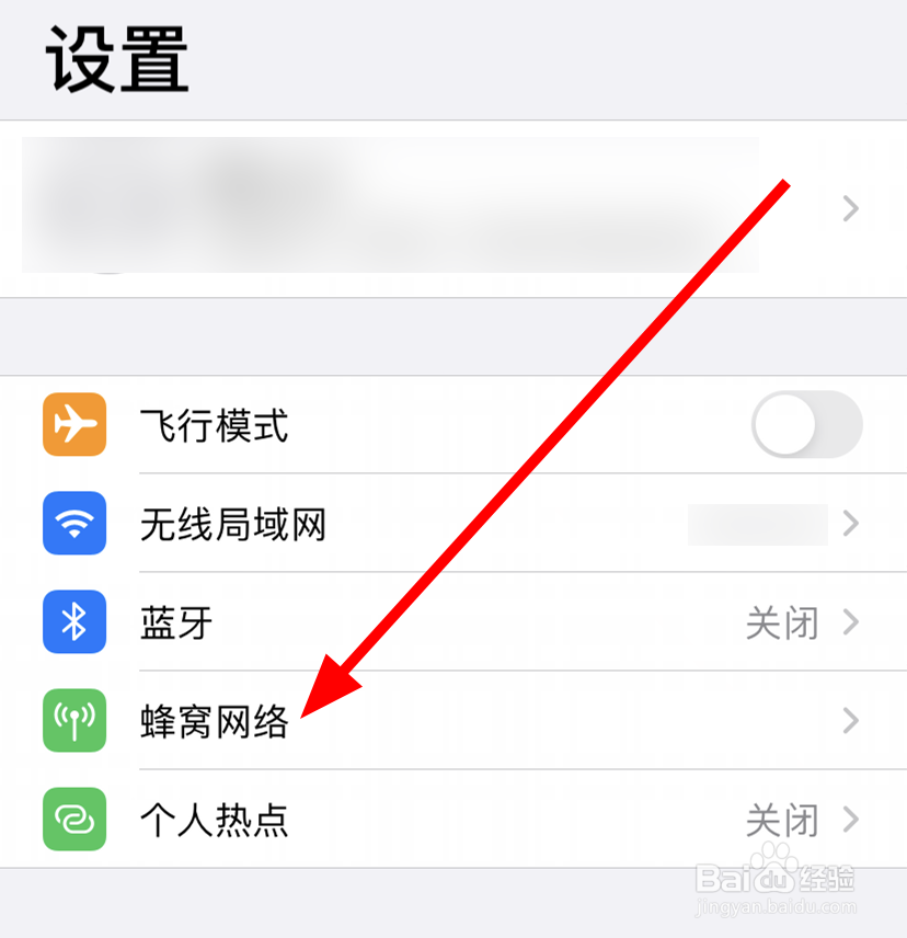 苹果/iPhone11怎么打开低数据模式